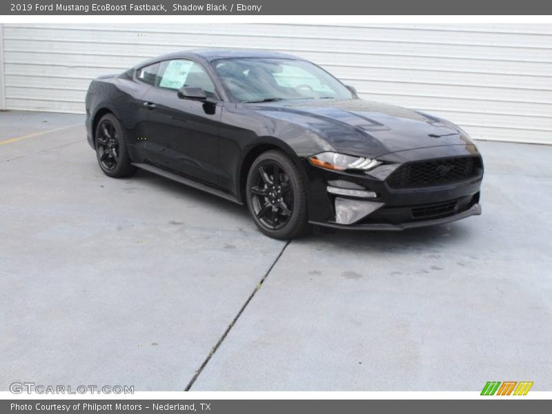 Shadow Black / Ebony 2019 Ford Mustang EcoBoost Fastback