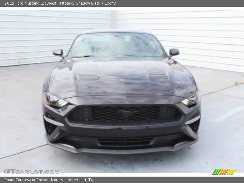 Shadow Black / Ebony 2019 Ford Mustang EcoBoost Fastback