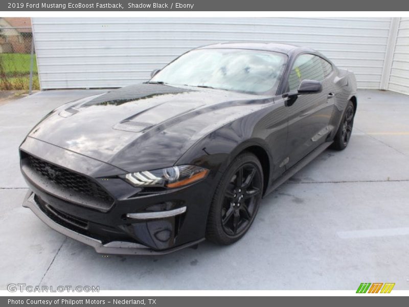 Shadow Black / Ebony 2019 Ford Mustang EcoBoost Fastback