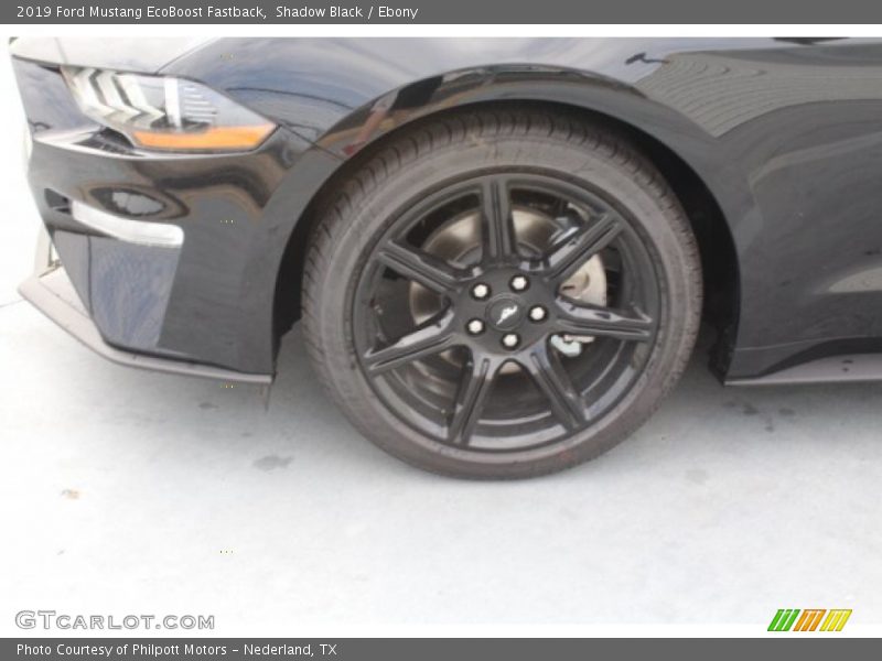 Shadow Black / Ebony 2019 Ford Mustang EcoBoost Fastback