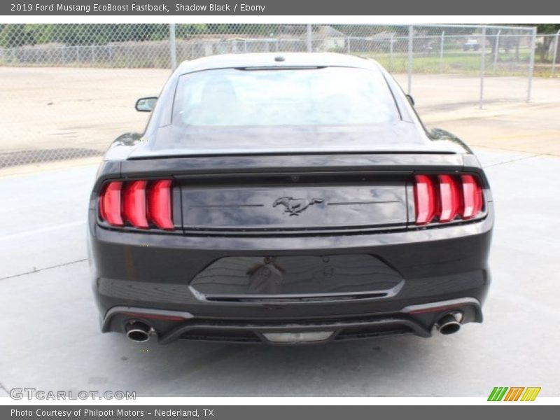 Shadow Black / Ebony 2019 Ford Mustang EcoBoost Fastback