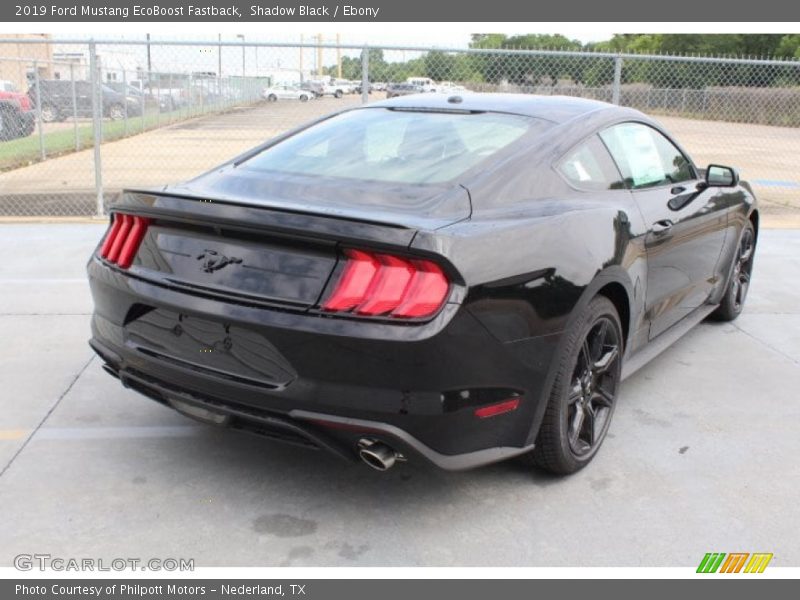 Shadow Black / Ebony 2019 Ford Mustang EcoBoost Fastback