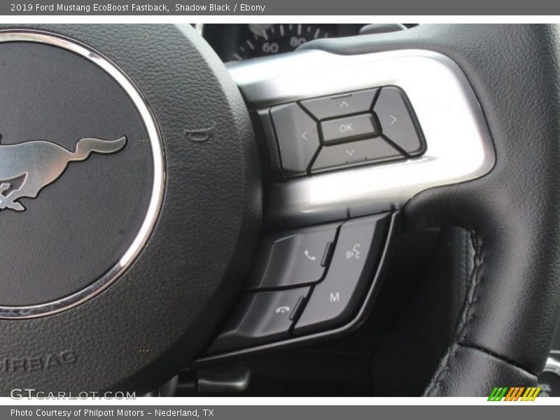 Shadow Black / Ebony 2019 Ford Mustang EcoBoost Fastback