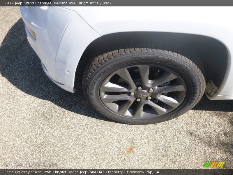 Bright White / Black 2019 Jeep Grand Cherokee Overland 4x4