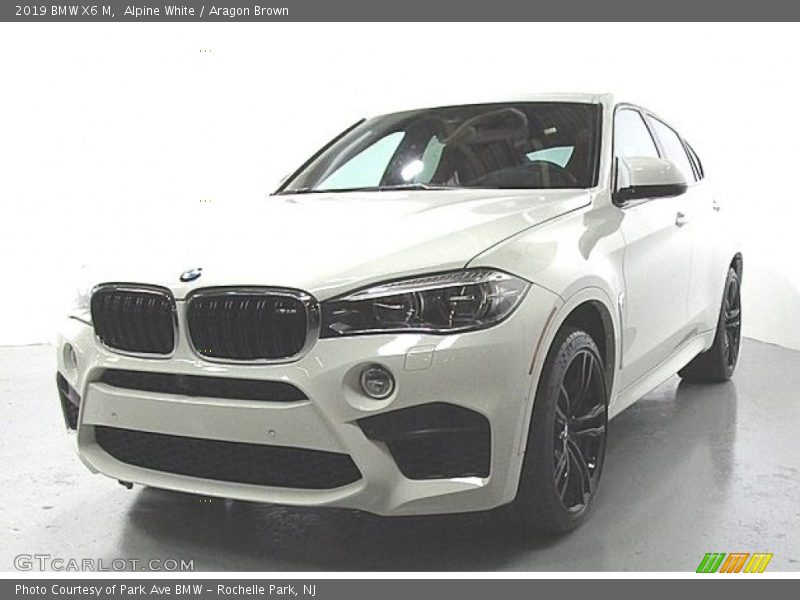 Alpine White / Aragon Brown 2019 BMW X6 M