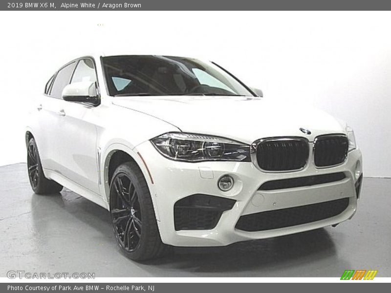Alpine White / Aragon Brown 2019 BMW X6 M
