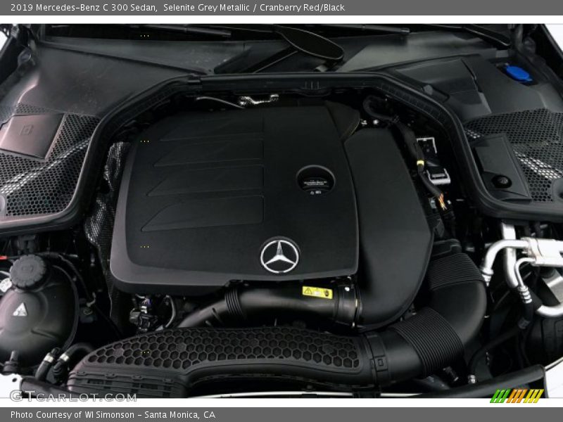Selenite Grey Metallic / Cranberry Red/Black 2019 Mercedes-Benz C 300 Sedan