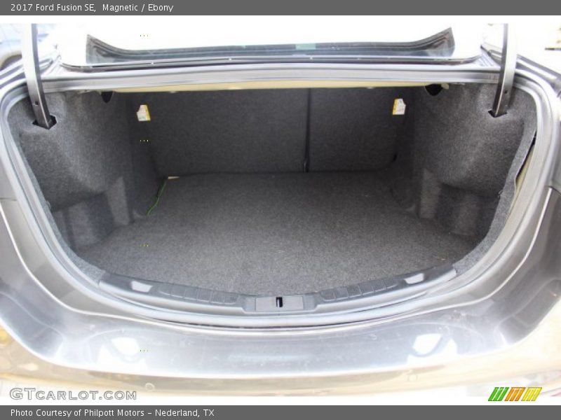 Magnetic / Ebony 2017 Ford Fusion SE