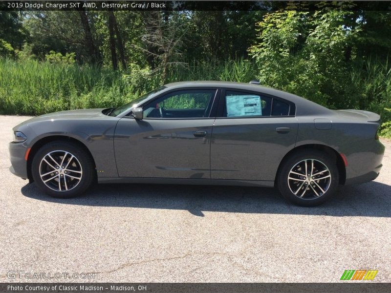 Destroyer Gray / Black 2019 Dodge Charger SXT AWD