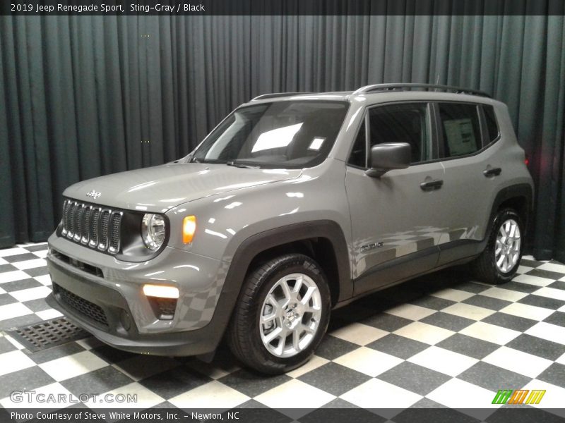 Front 3/4 View of 2019 Renegade Sport