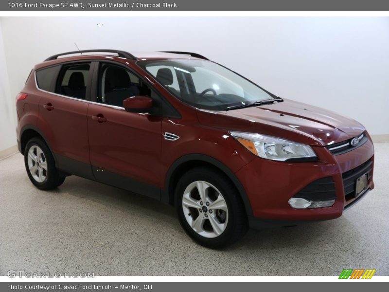 Sunset Metallic / Charcoal Black 2016 Ford Escape SE 4WD