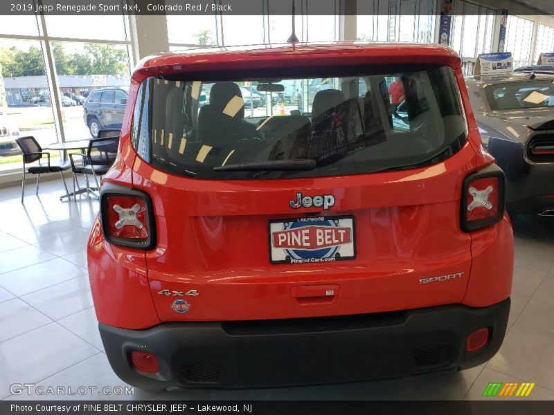 Colorado Red / Black 2019 Jeep Renegade Sport 4x4
