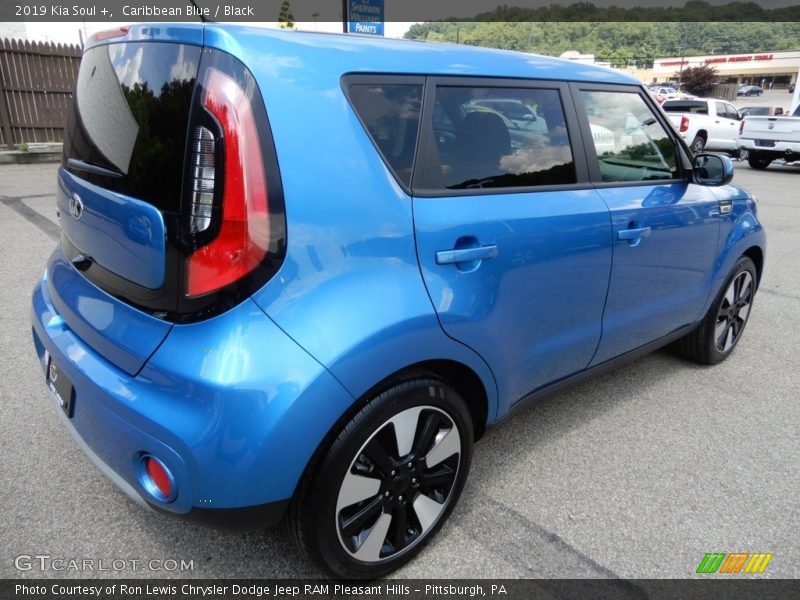 Caribbean Blue / Black 2019 Kia Soul +