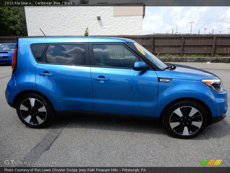 Caribbean Blue / Black 2019 Kia Soul +