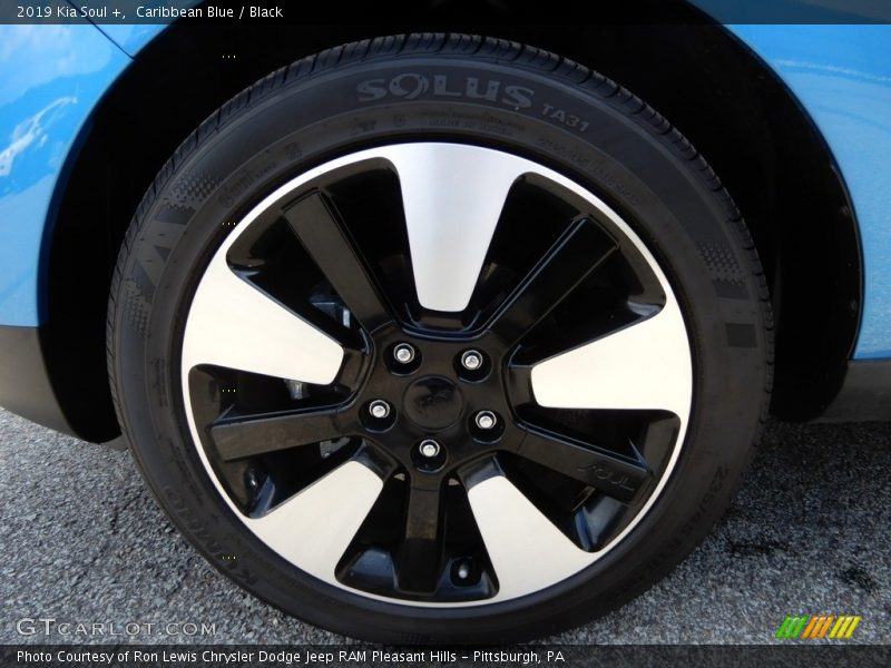 Caribbean Blue / Black 2019 Kia Soul +