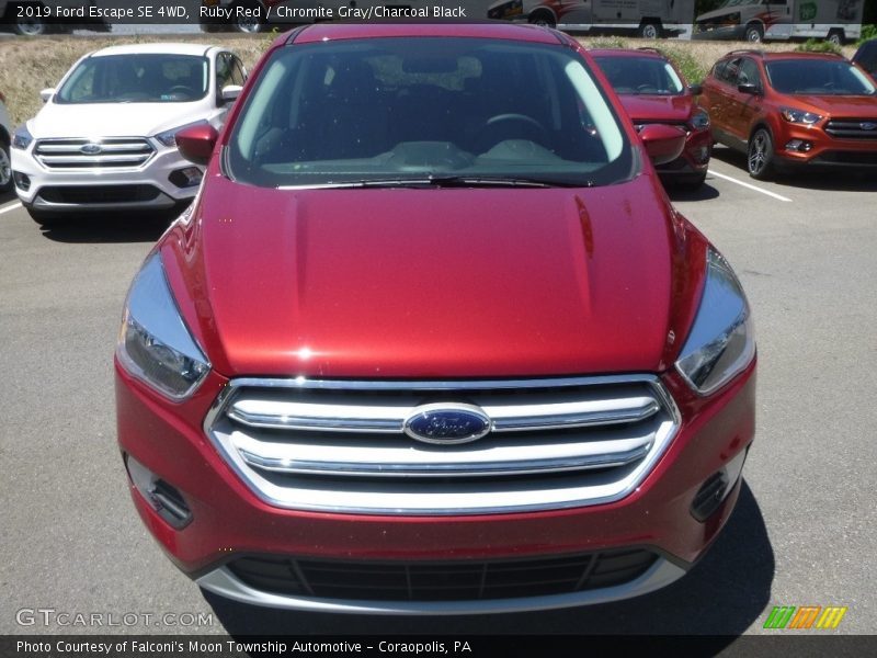 Ruby Red / Chromite Gray/Charcoal Black 2019 Ford Escape SE 4WD