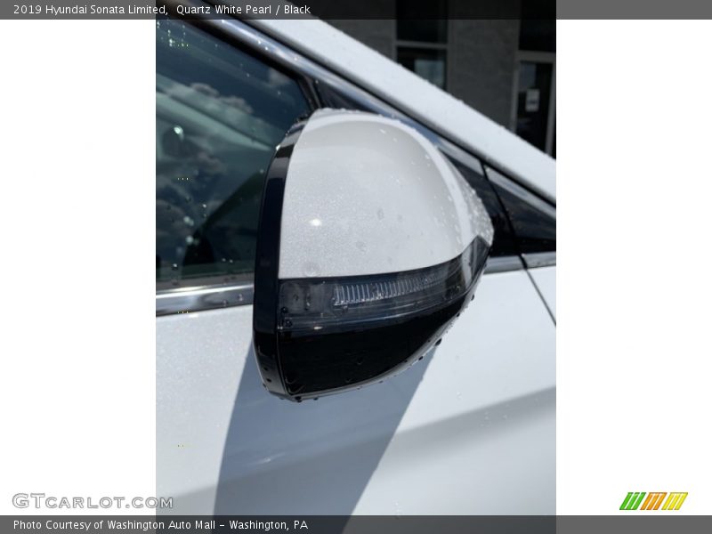 Quartz White Pearl / Black 2019 Hyundai Sonata Limited
