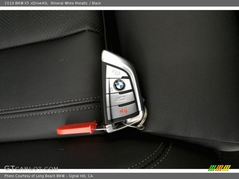 Mineral White Metallic / Black 2019 BMW X5 xDrive40i