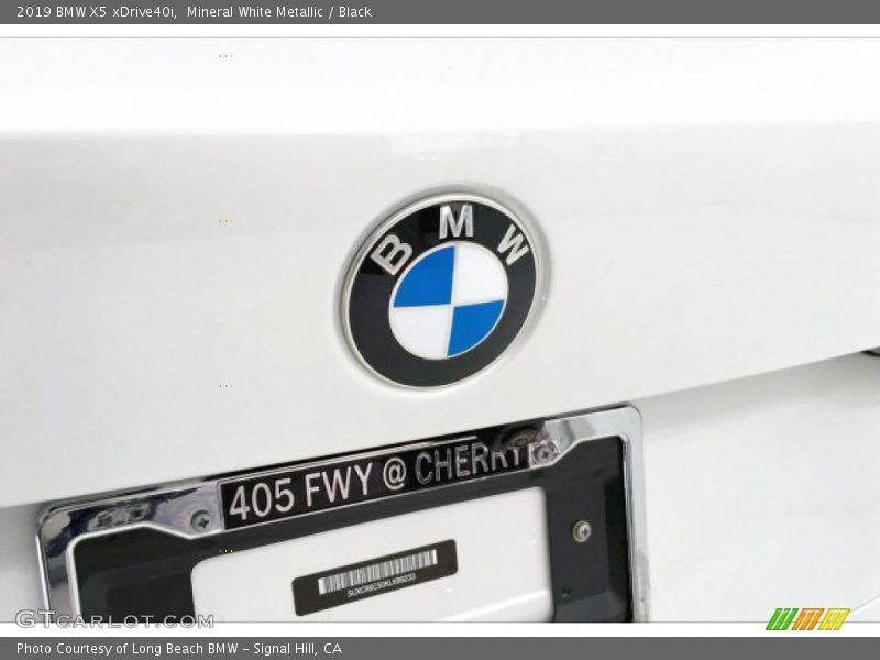 Mineral White Metallic / Black 2019 BMW X5 xDrive40i