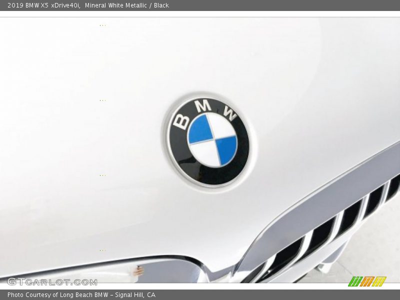 Mineral White Metallic / Black 2019 BMW X5 xDrive40i