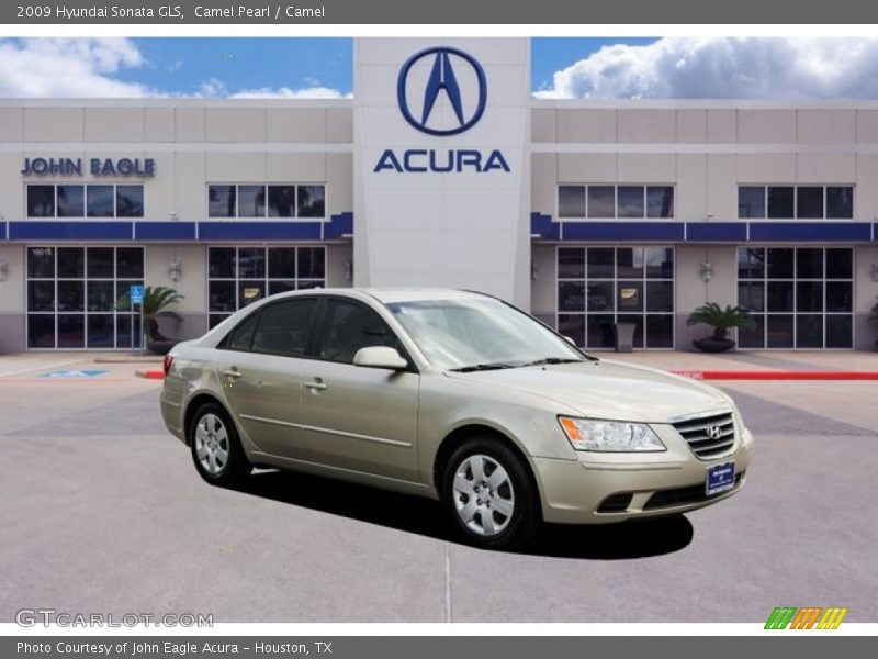 Camel Pearl / Camel 2009 Hyundai Sonata GLS