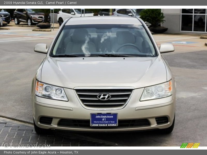 Camel Pearl / Camel 2009 Hyundai Sonata GLS