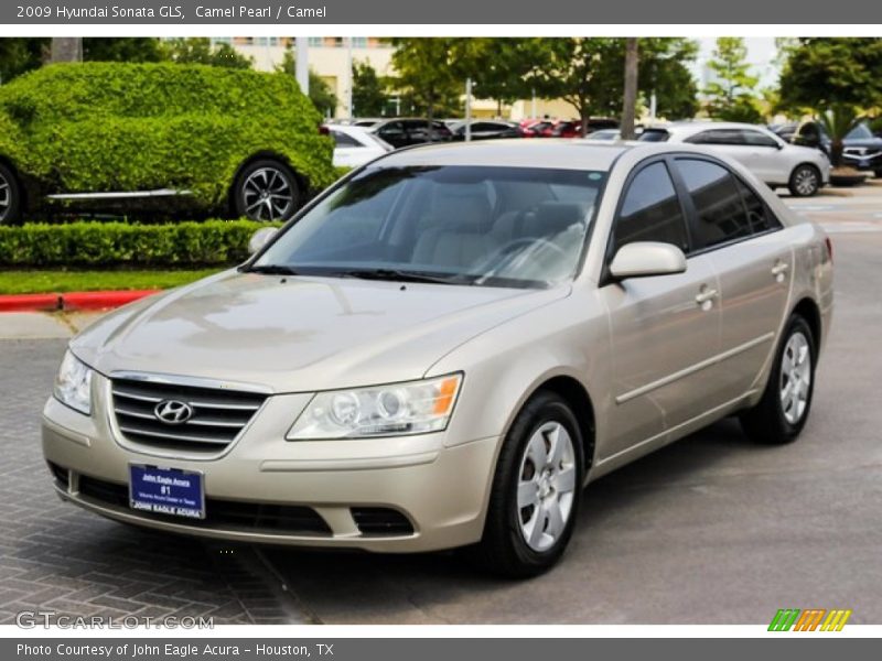 Camel Pearl / Camel 2009 Hyundai Sonata GLS
