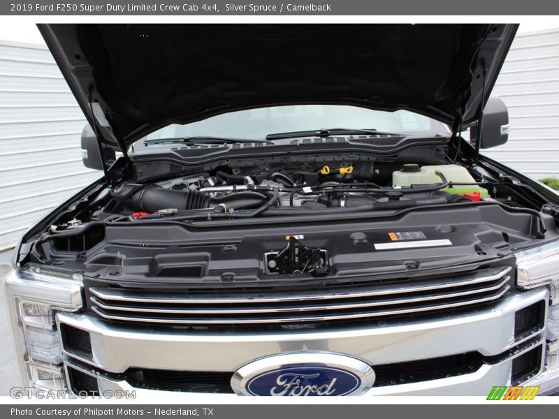 Silver Spruce / Camelback 2019 Ford F250 Super Duty Limited Crew Cab 4x4