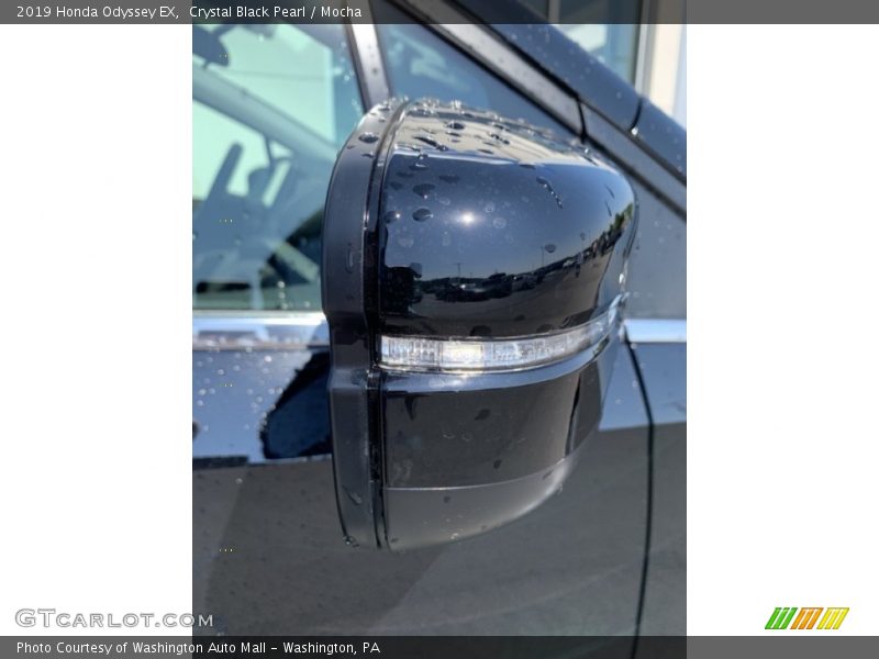 Crystal Black Pearl / Mocha 2019 Honda Odyssey EX