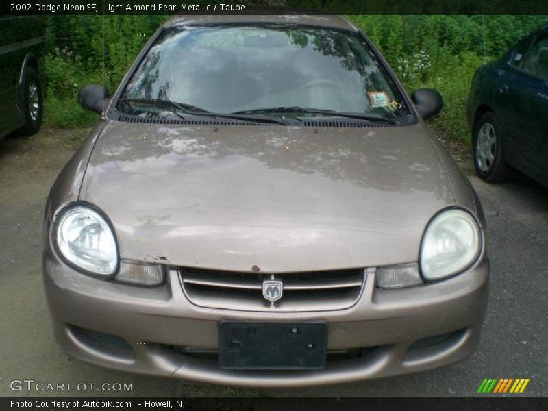 Light Almond Pearl Metallic / Taupe 2002 Dodge Neon SE