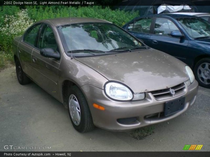 Light Almond Pearl Metallic / Taupe 2002 Dodge Neon SE
