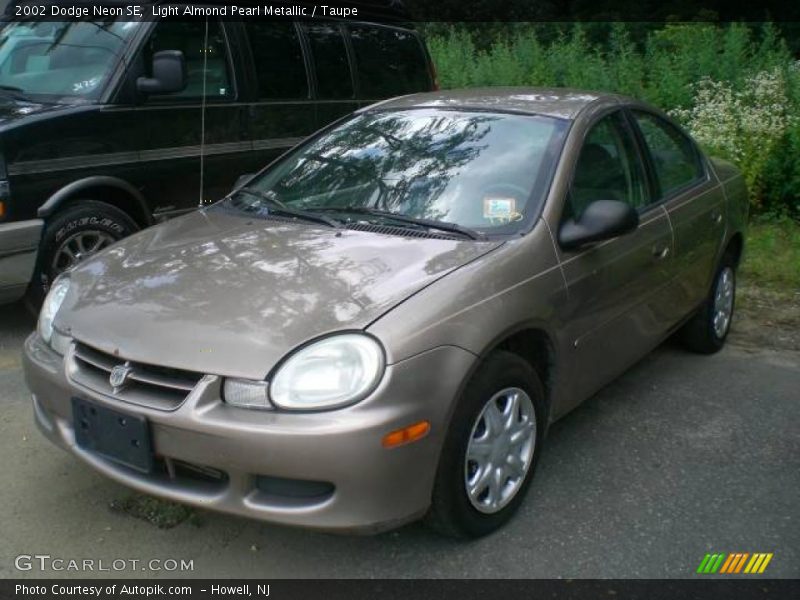 Light Almond Pearl Metallic / Taupe 2002 Dodge Neon SE