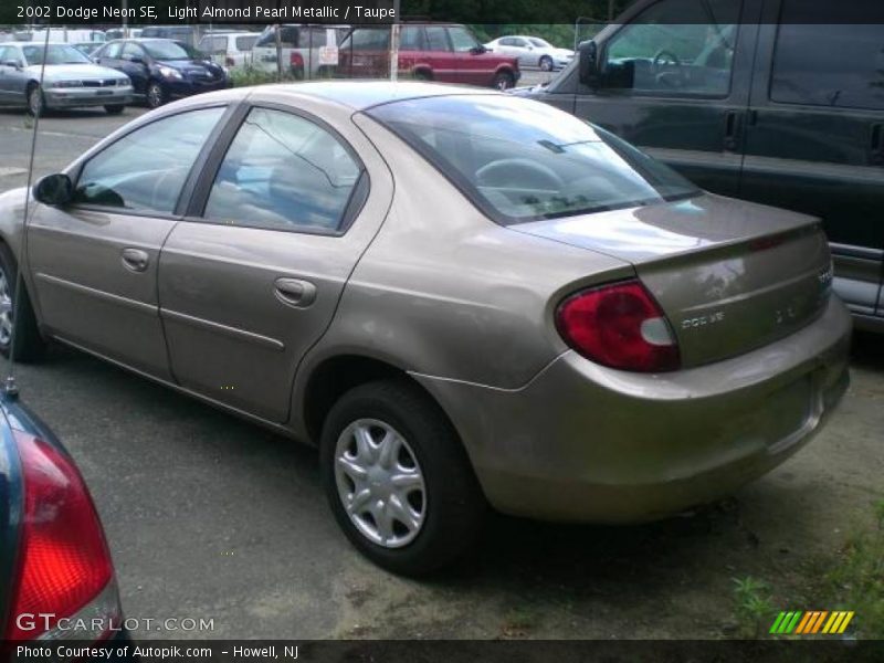 Light Almond Pearl Metallic / Taupe 2002 Dodge Neon SE