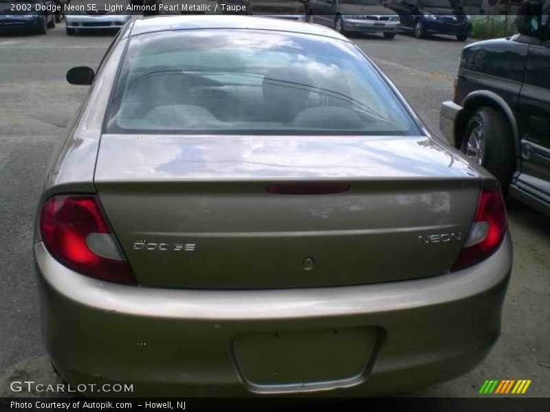 Light Almond Pearl Metallic / Taupe 2002 Dodge Neon SE