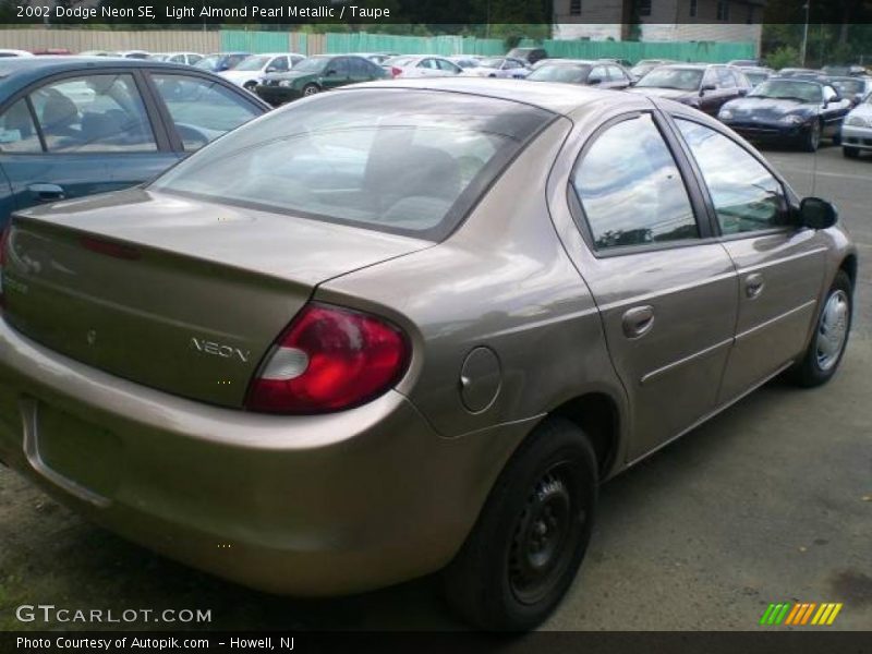 Light Almond Pearl Metallic / Taupe 2002 Dodge Neon SE