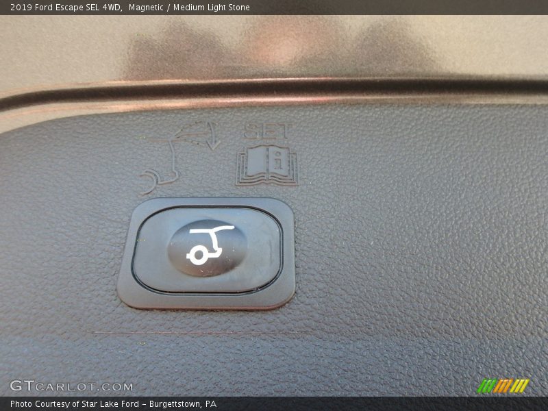 Magnetic / Medium Light Stone 2019 Ford Escape SEL 4WD