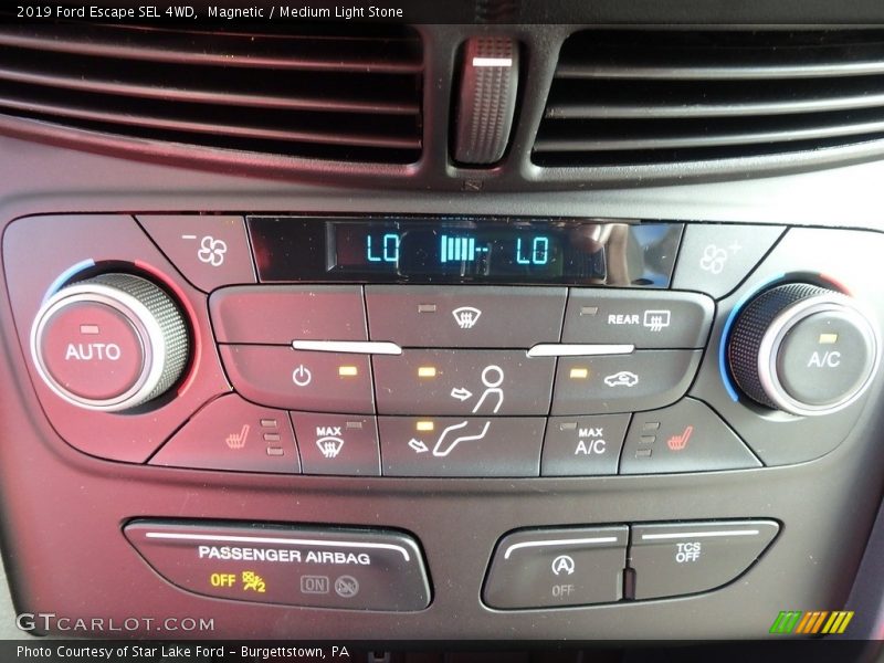 Magnetic / Medium Light Stone 2019 Ford Escape SEL 4WD