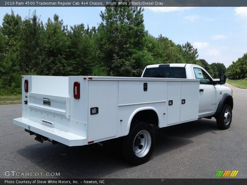 Bright White / Black/Diesel Gray 2019 Ram 4500 Tradesman Regular Cab 4x4 Chassis