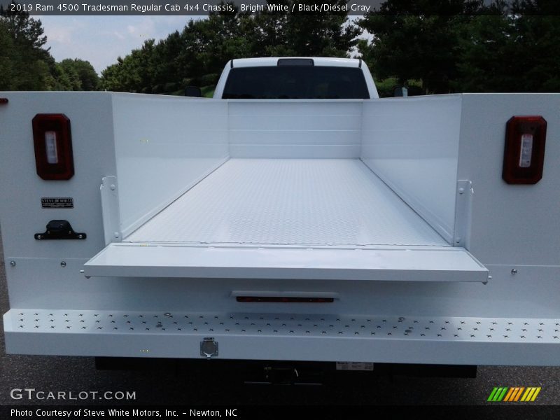 Bright White / Black/Diesel Gray 2019 Ram 4500 Tradesman Regular Cab 4x4 Chassis