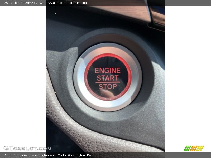 Crystal Black Pearl / Mocha 2019 Honda Odyssey EX