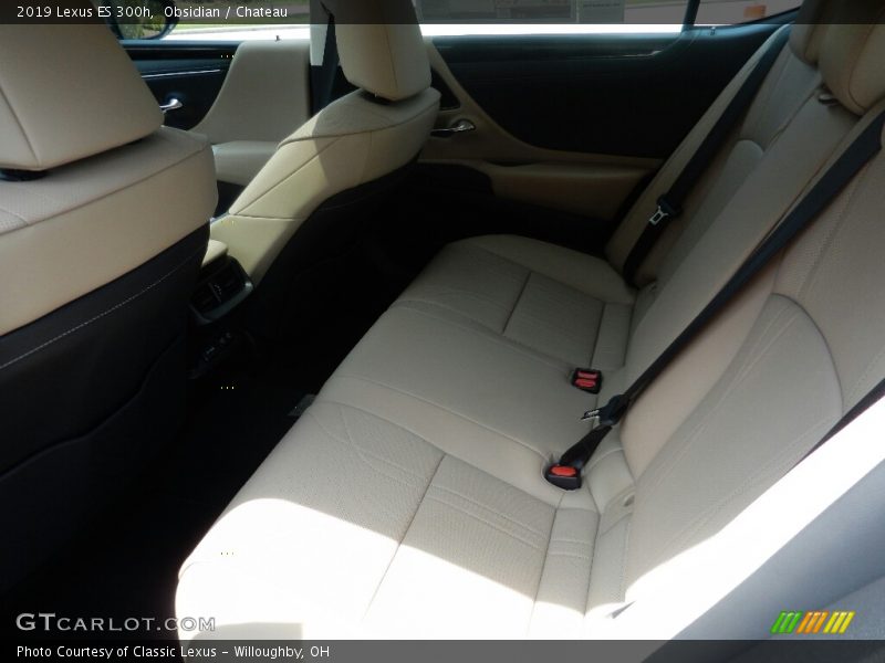 Obsidian / Chateau 2019 Lexus ES 300h