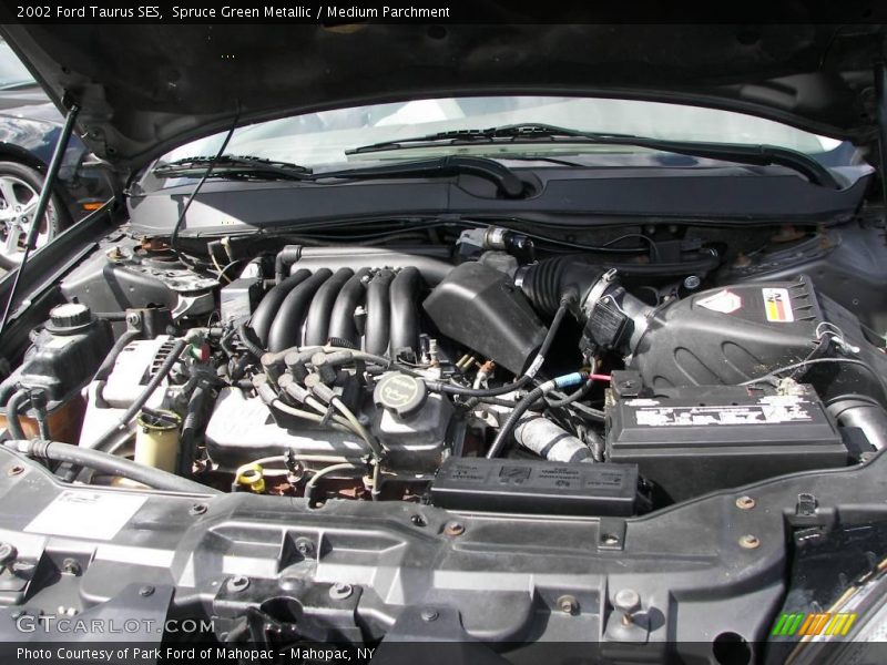 Spruce Green Metallic / Medium Parchment 2002 Ford Taurus SES