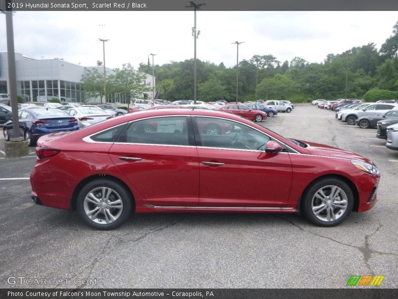 Scarlet Red / Black 2019 Hyundai Sonata Sport