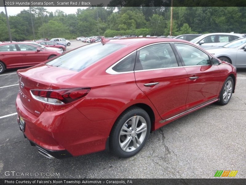 Scarlet Red / Black 2019 Hyundai Sonata Sport