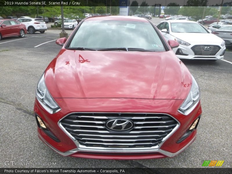 Scarlet Red / Gray 2019 Hyundai Sonata SE