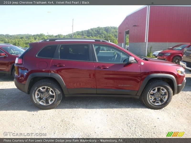 Velvet Red Pearl / Black 2019 Jeep Cherokee Trailhawk 4x4