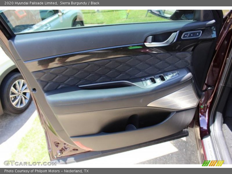 Door Panel of 2020 Palisade Limited