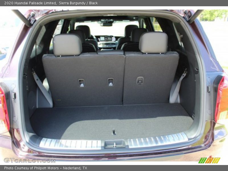  2020 Palisade Limited Trunk