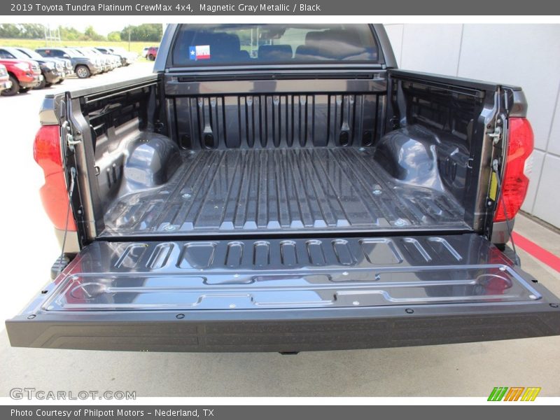 Magnetic Gray Metallic / Black 2019 Toyota Tundra Platinum CrewMax 4x4