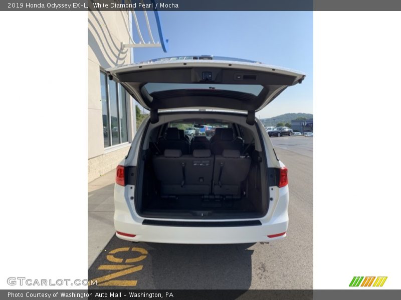 White Diamond Pearl / Mocha 2019 Honda Odyssey EX-L